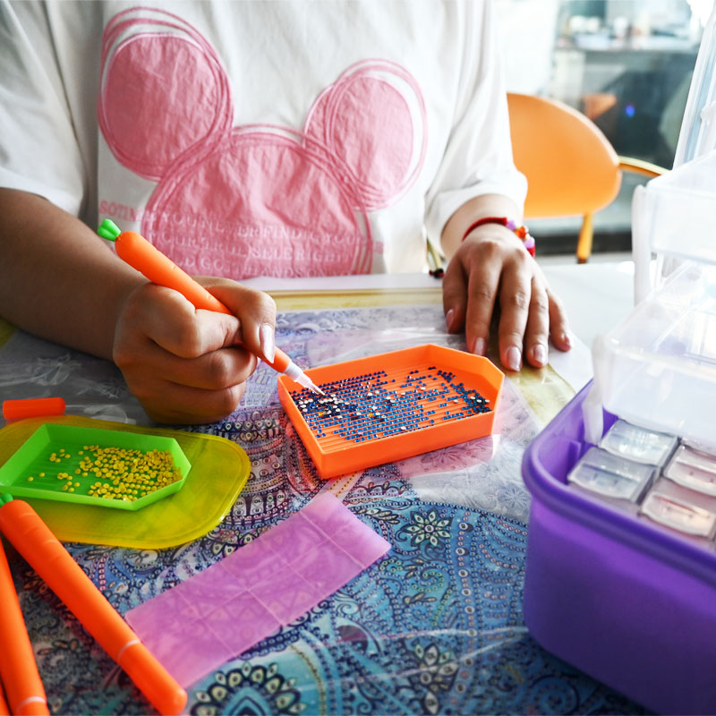 Diamond Embroidery Tools Carro - огляд і ціна Craft Embellishment Storage