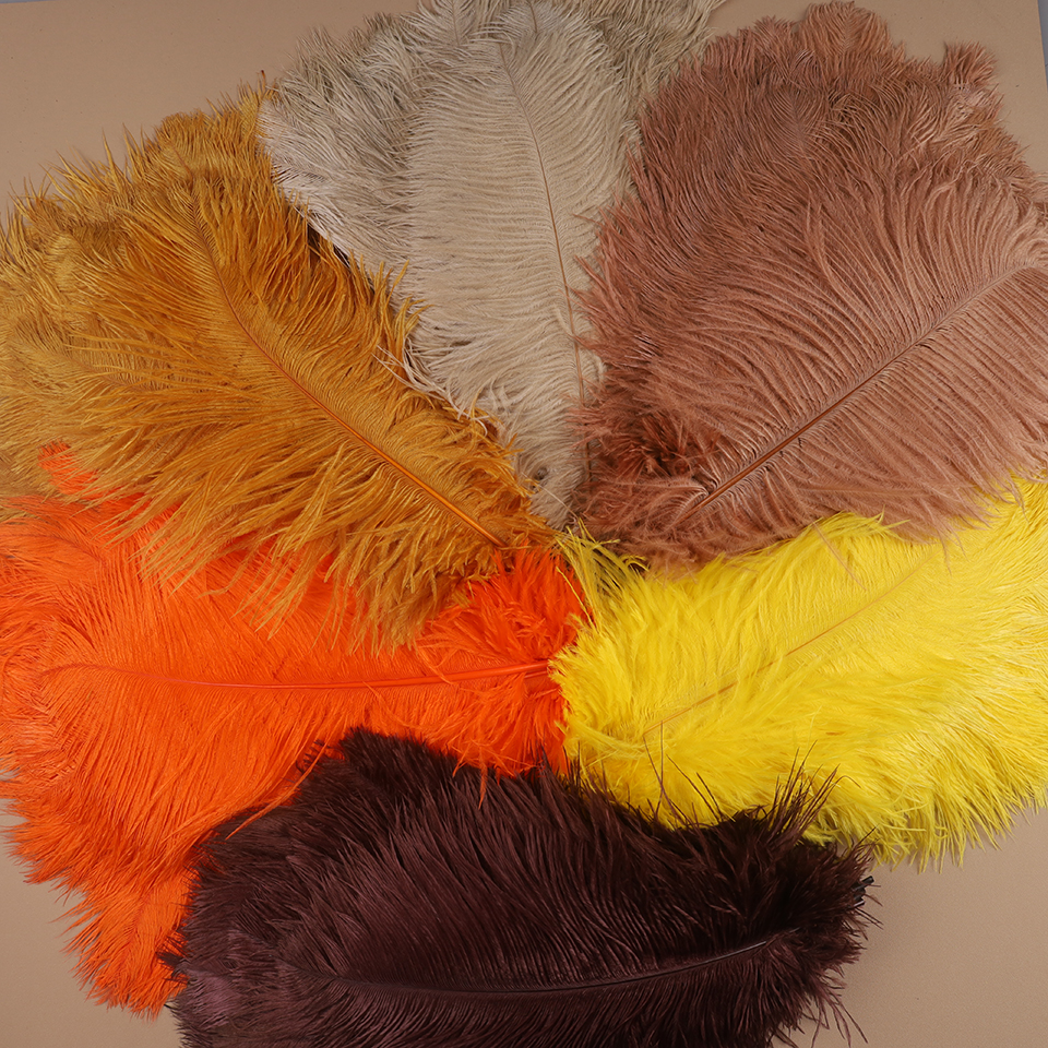 10pcs Ostrich Feathers for Cra - огляд і ціна Feather Trim Marabou