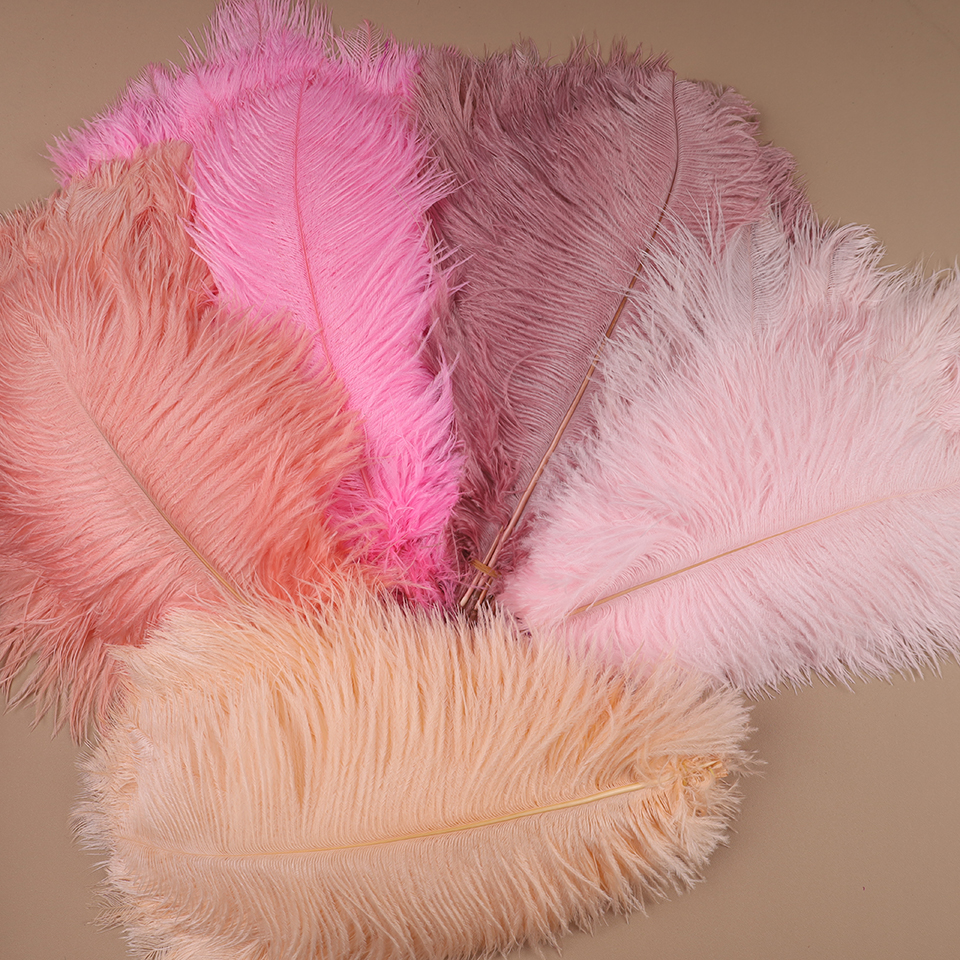 10pcs Ostrich Feathers for Cra - огляд і ціна Feather Trim Marabou