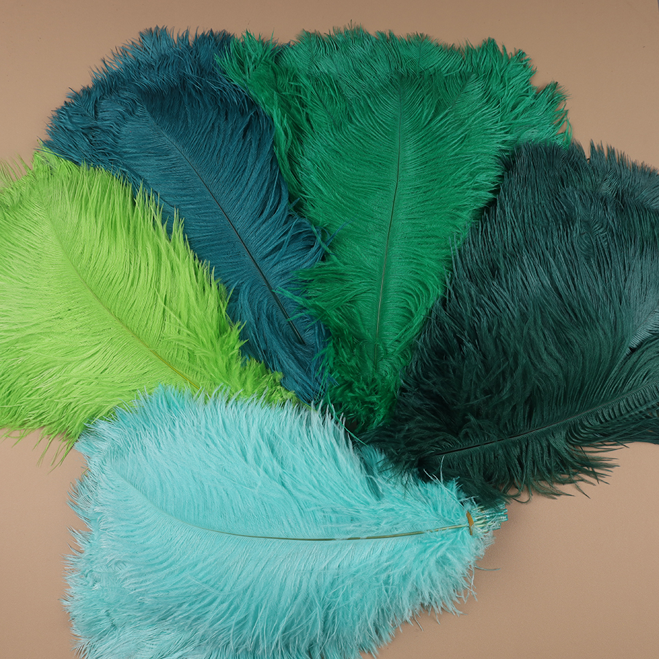 10pcs Ostrich Feathers for Cra - огляд і ціна Feather Trim Marabou