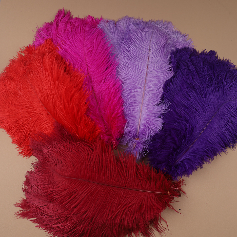 10pcs Ostrich Feathers for Cra - огляд і ціна Feather Trim Marabou